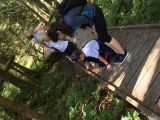 Pilt: IMG_4199 (800x600)
