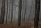 Pilt: DSC_0993